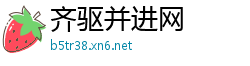 齐驱并进网